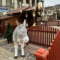 12 грудня у Тернополі освятять шопку, що цьогоріч замінить головну ялинку