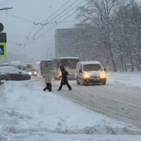 Снігопад у Тернополі: водіїв просять не залишати машини на дорогах