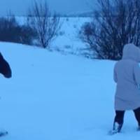 Дорогу замело снігом: на Монастирищині люди йдуть з села у місто на роботу пішки через поле (відео)