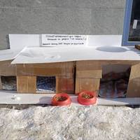 «Ми всі маємо допомагати»! Як тернополянка облаштувала «Пункт незламності для тварин»