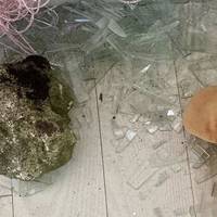 Від Тарнополя до Тернополя