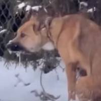 Від Тарнополя до Тернополя