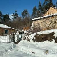 Розбороняла собак із лисицею: деталі інциденту в Шумській громаді (оновлено)