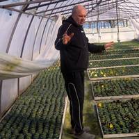 Відновив бізнес після фронту: ветеран Іван Данилюк вирощує десятки сортів квітів у теплиці