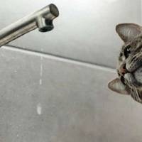 У Тернополі 2 березня в одному з мікрорайонів можливий понижений тиск води