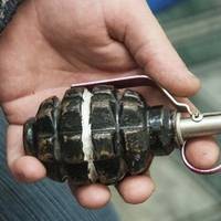 У селі Петриків школяр приніс гранату до школи