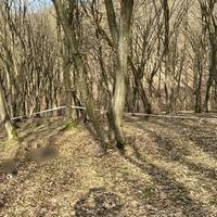 На Тернопільщині через детонацію боєприпаса загинув чоловік