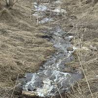 Від Тарнополя до Тернополя