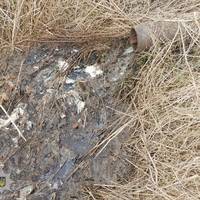 Від Тарнополя до Тернополя