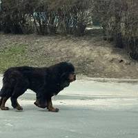 Від Тарнополя до Тернополя