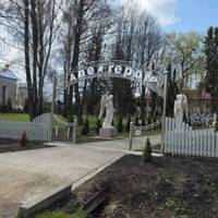 Громада обурена: вкрали дерева вночі з Алеї Героїв у селі Яблунів Чортківського району