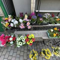 Тернополянам нагадують: у поминальні дні варто обирати живі квіти