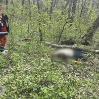 Деталі трагедії: у лісі поблизу Тернополя загинув 28-річний чоловік
