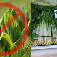 Від Тарнополя до Тернополя