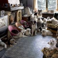 Від Тарнополя до Тернополя