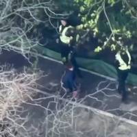 У мережі з'явилося відео, як поліцейські тікають від стрільця під час вчорашнього теракту у Києві
