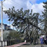 Частину України накрив сильний вітер