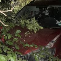 Нічна ДТП біля Борщева: після аварії «102» із місця інциденту набрала дитина