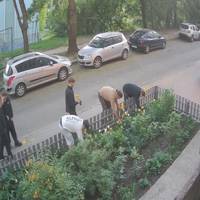 У Тернополі хулігани понівечили клумбу з квітами (ВІДЕО)