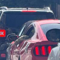 У Тернополі водій у військовому одязі роз’їжджає містом на Ford Mustang