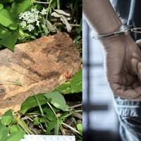 Правоохоронці затримали 16-річного онука після вбивства бабусі на Тернопільщині