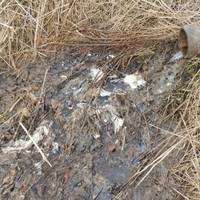 Від Тарнополя до Тернополя