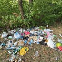 Знову сміття після відпочивальників: на Борщівщині берег озера перетворили на звалище