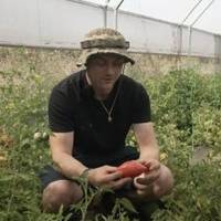 Пережив службу та полон, повернувся додому — і почав усе з нуля. Ветеран із Тернопільщини заснував власне тепличне господарство