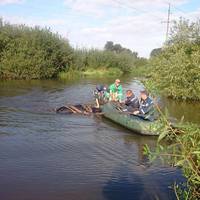 У місті Зборів довелось рятувати корову