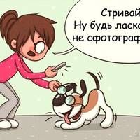 Що кожен господар витворяє зі своїм домашнім улюбленцем?