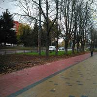 В Тернополі зевершили ремонт ще однієї доріжки