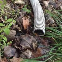 Мандрівний цирк зливає нечистоти в Тернопільське озеро