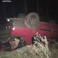 Водій не впорався з кермуванням та перекинув авто