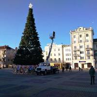 В Тернополі почали одягати новорічну красуню