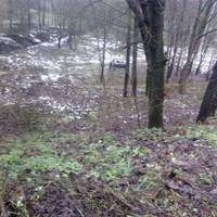 ДТП біля Березолю: від удару автомобіль скотився в парк