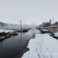 Козівський цукровий завод став екологічною катастрофою