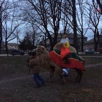 Хоростківського верблюда осідлав Миколай