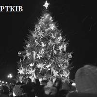 Найкрасивіша ялинка у Чорткові?