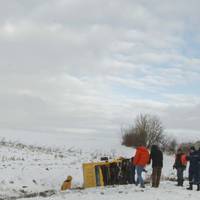 Автомобіль з хлібом перекинувся на Тернопільщині