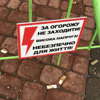 Хто охороняє головну ялинку Тернополя (Фото)