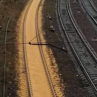 У Тернополі вся колія в зерні (ФОТО)