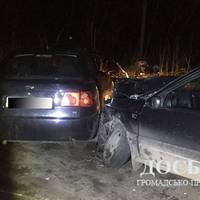 Між селом Вербка та смт. Коропець ДТП: пасажири тяжко травмовані (ФОТО)
