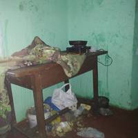 Просто жах! У мешканців села Залісці вилучили трьох дітей (ФОТО)