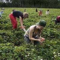 Історія заробітчан: Робота по 18 годин, ніби в пеклі та штрафи по 10 тисяч гривень