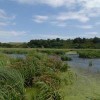 Тернопільщина поповнилася новими заповідниками