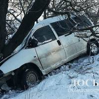 На Бережанщині пяний водій злетів з дороги і врізався в дерево