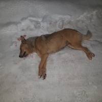 УВАГА! ВБИВЦІ СЕРЕД НАС!