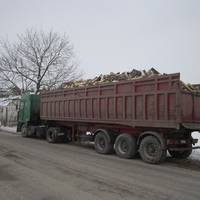 На Тернопільщині виявили підпільний склад нелегальної деревини