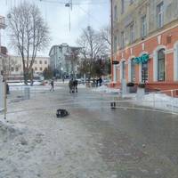 В Центрі Тернополя знову встановлюють сяючі арки