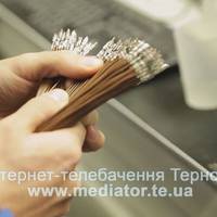 Житель Тернополя влаштувався на завод, щоб красти деталі